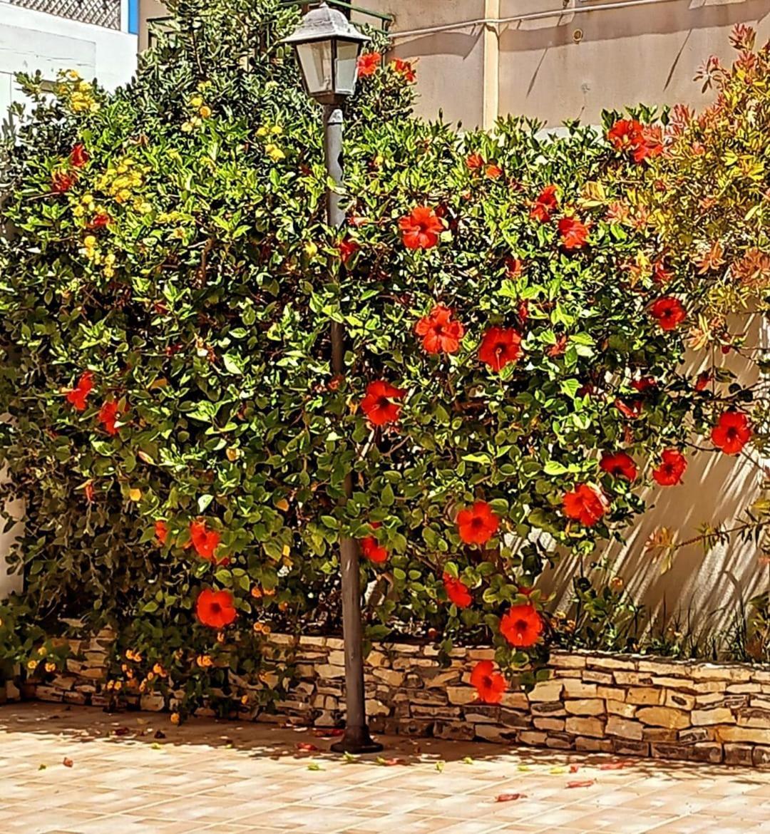 Blu Vacanze Residence Favignana Zewnętrze zdjęcie